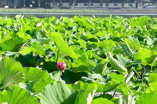 波波：我们太年轻需要犯错空间 每天吃完早饭就要忘掉昨天的不快